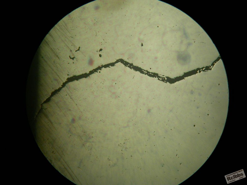 DSCN8869.JPG