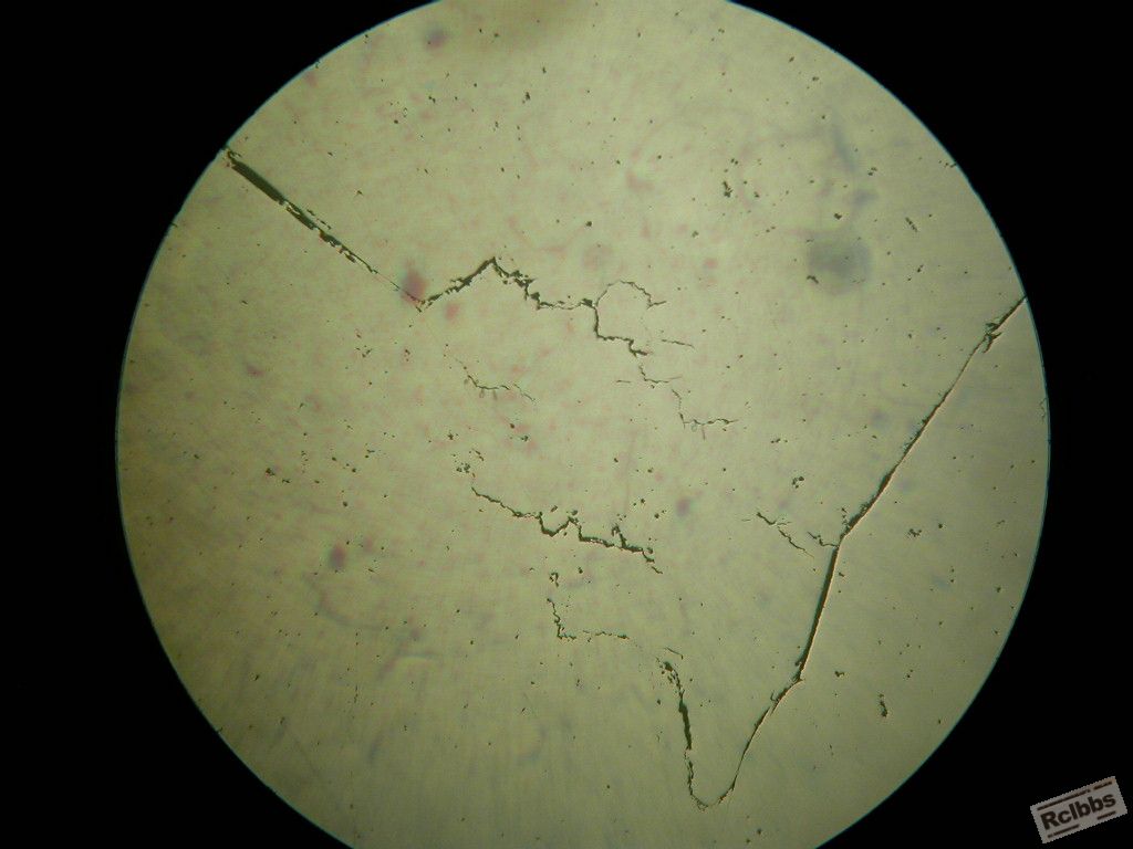 DSCN8873.JPG