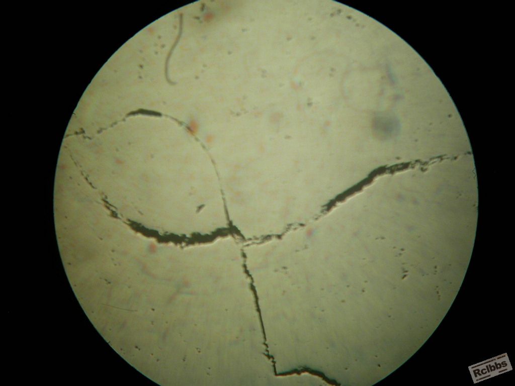DSCN8890.JPG