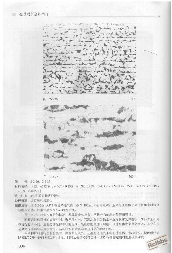 退火组织1.JPG