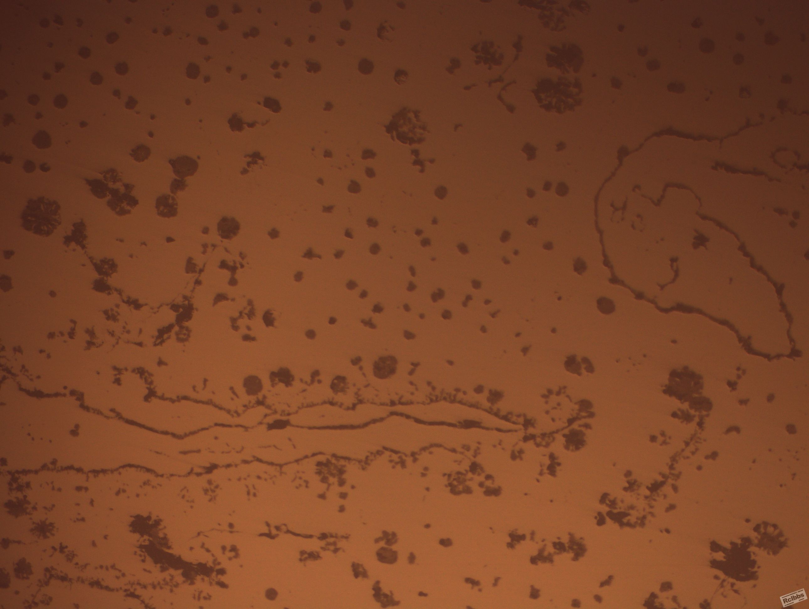 M201212-019.JPG