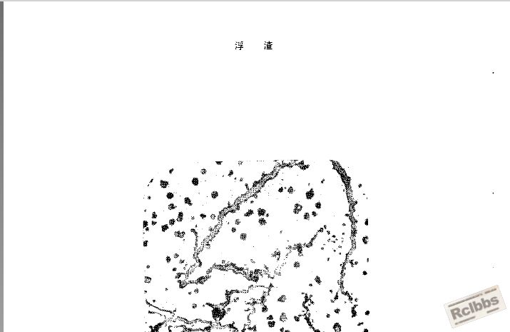 浮渣.jpg