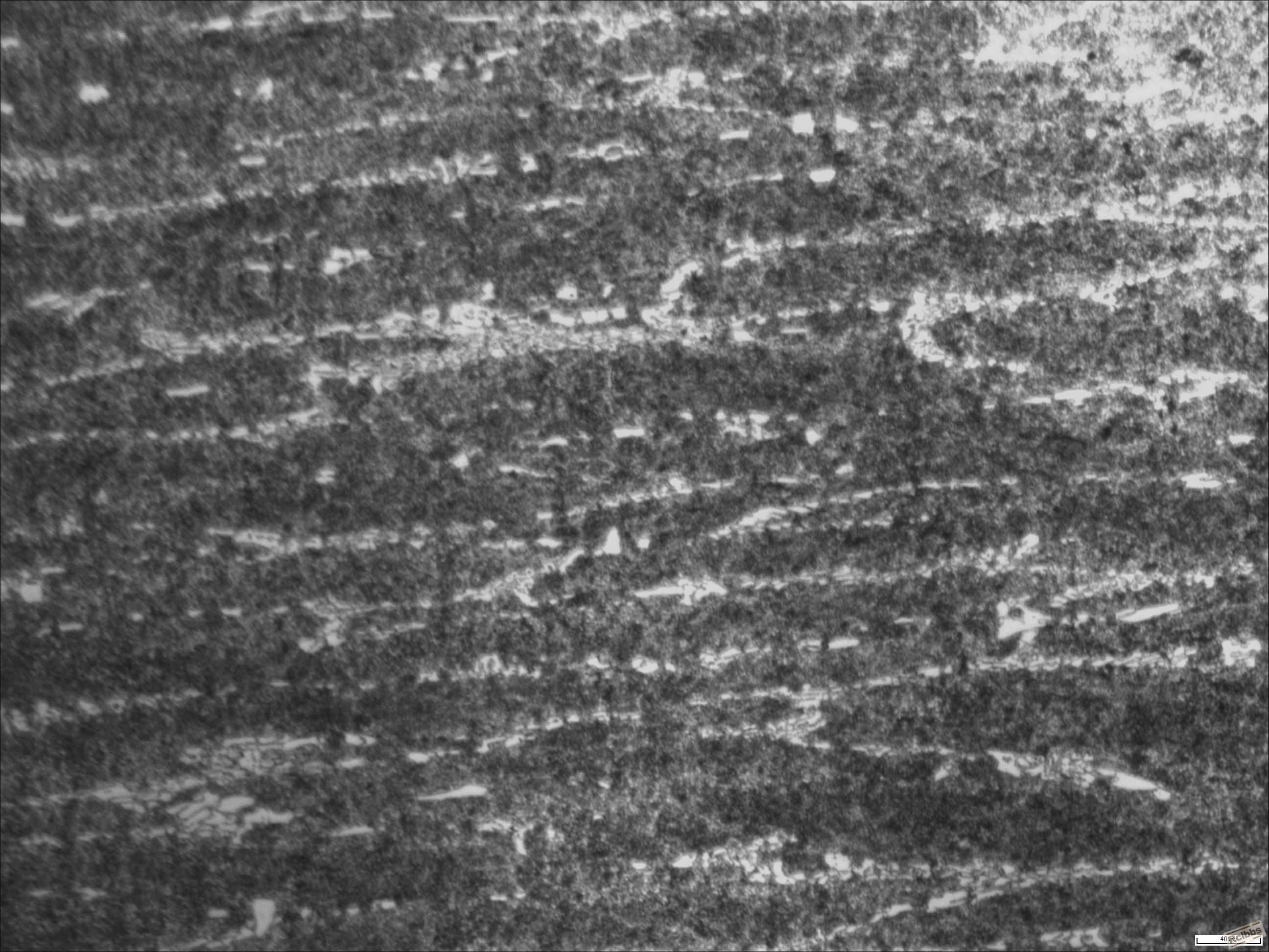 10×物镜-7.JPG