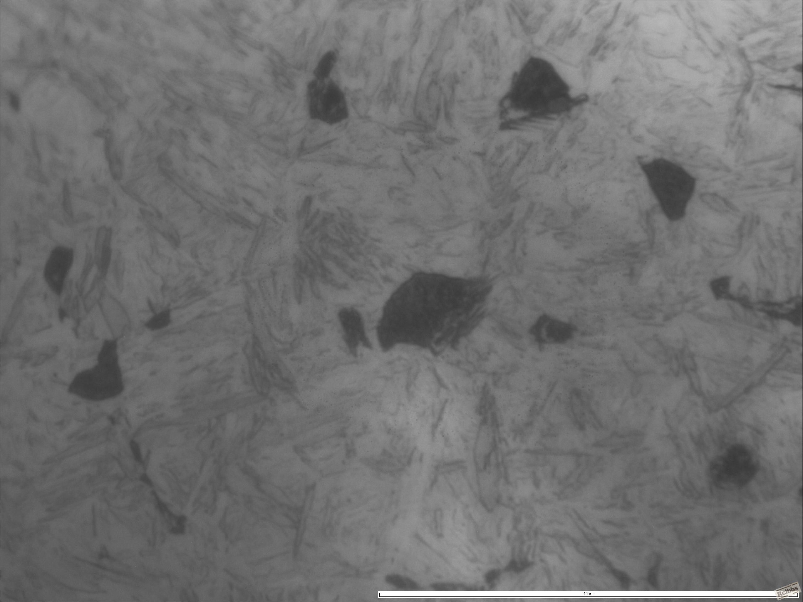 1000x