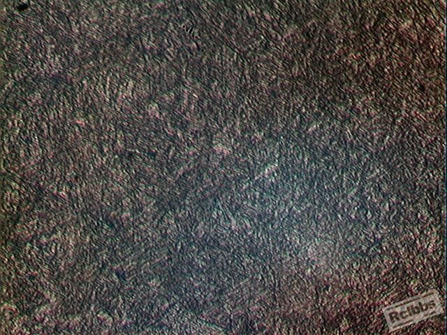 2012121113.JPG
