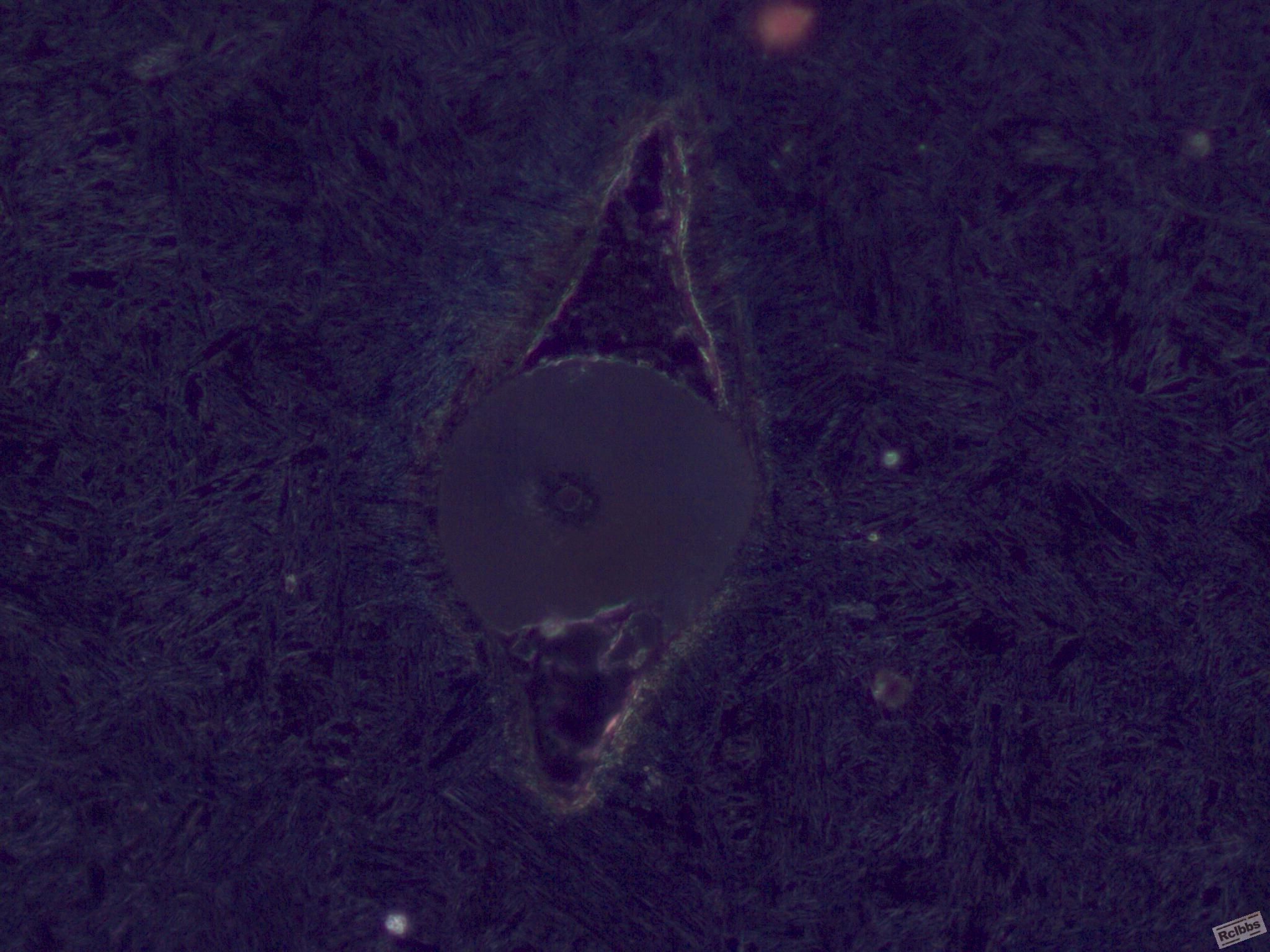 1121120_001.JPG