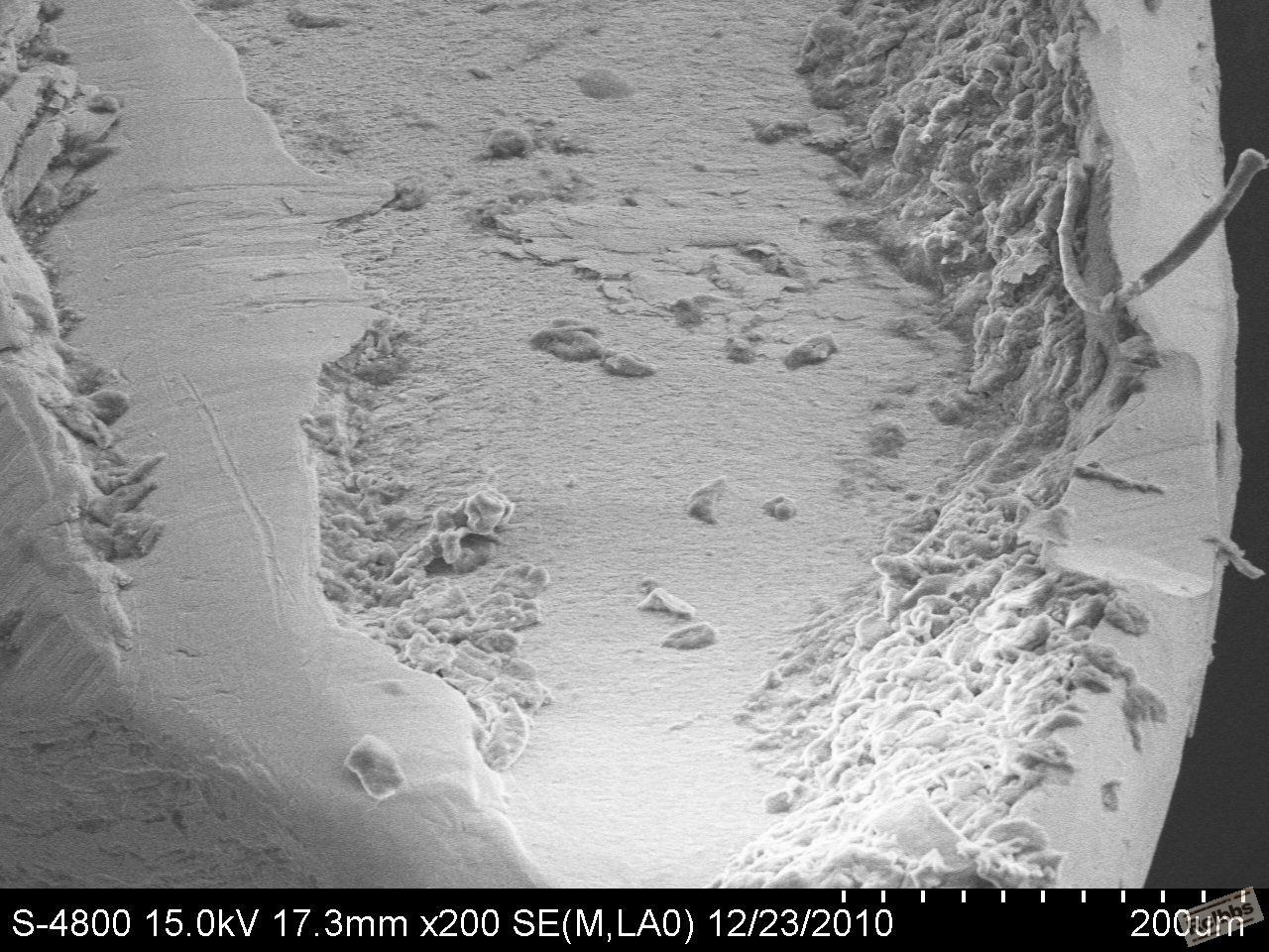 22_m002.jpg