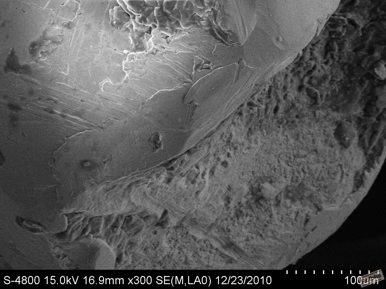 42_m004.jpg