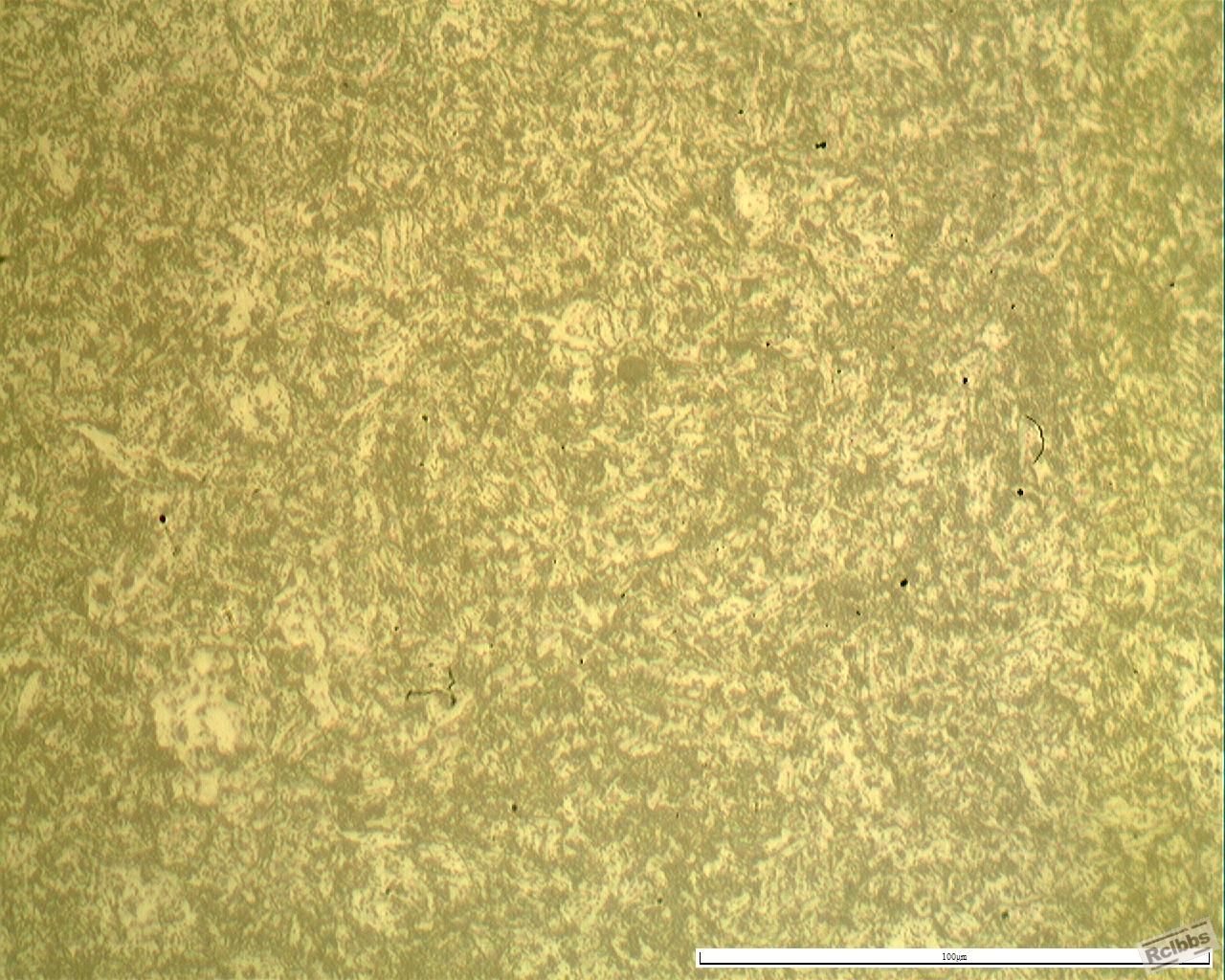 121225p6301.JPG