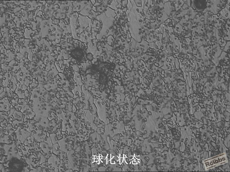 q_副本.jpg