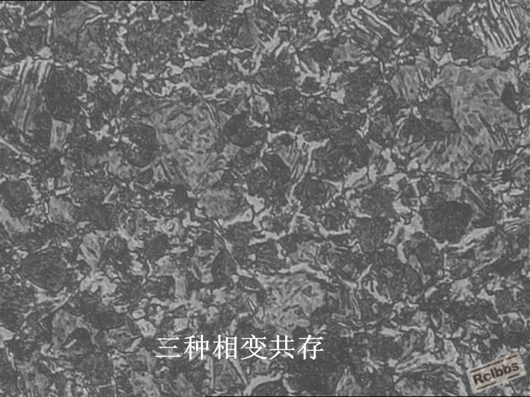 v_副本.jpg