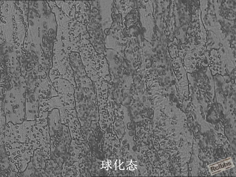 w_副本.jpg