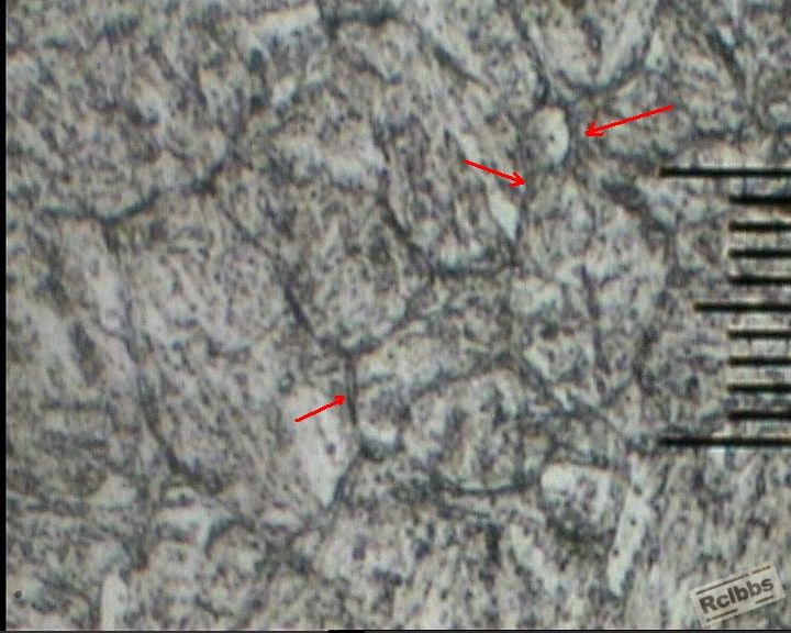 500X-3标注.JPG