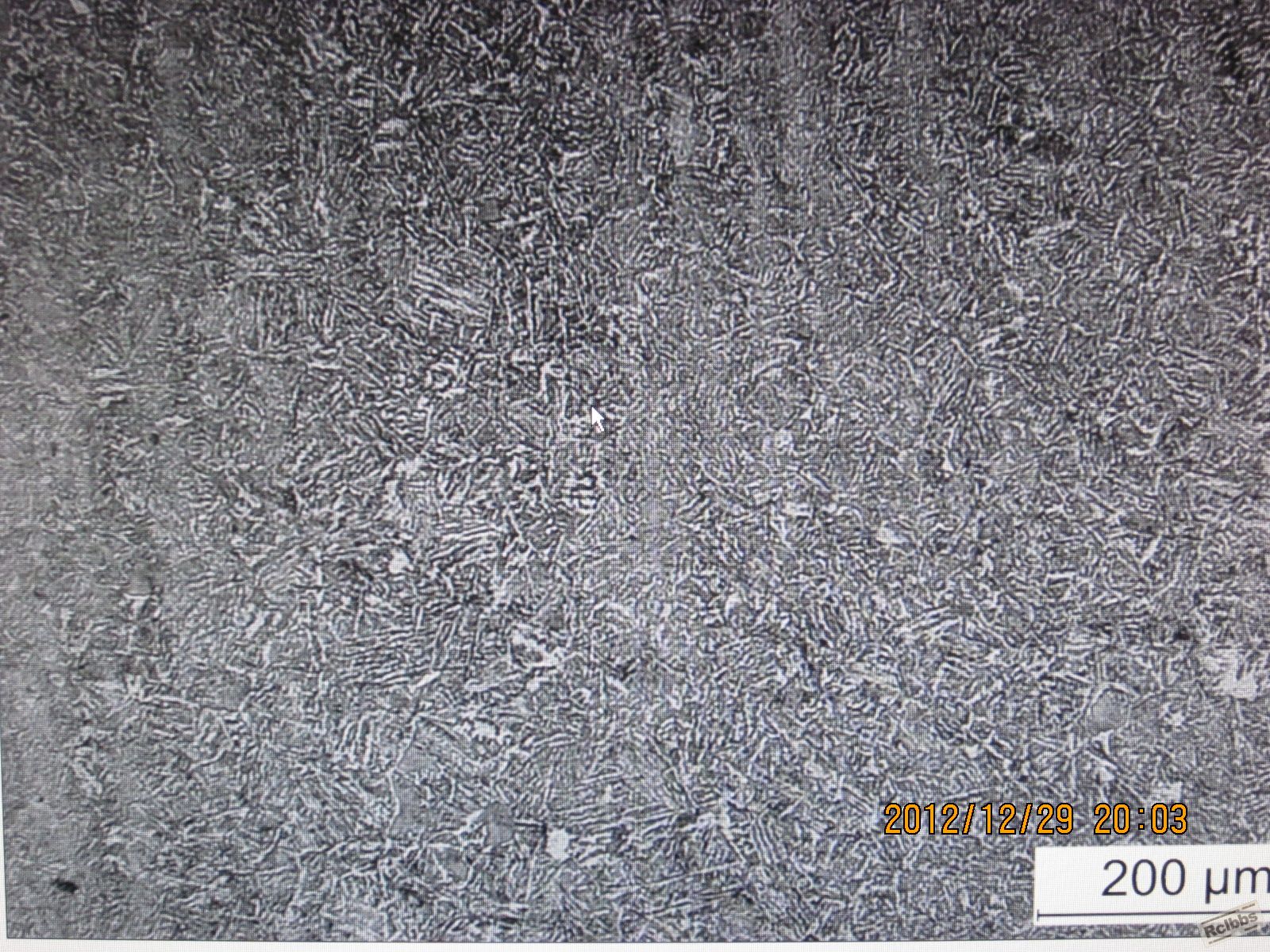 IMG_3740.JPG