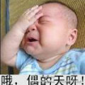 哦.jpg