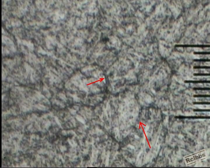 500X-4.JPG