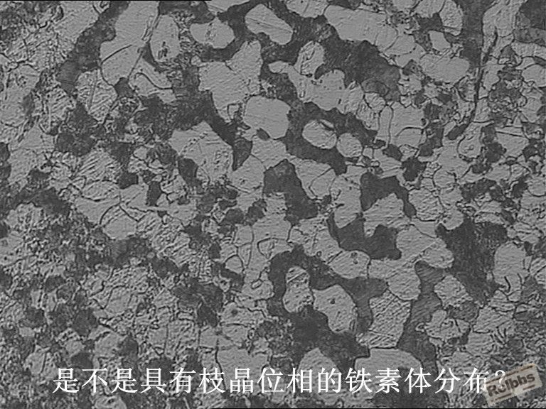 t_副本.jpg