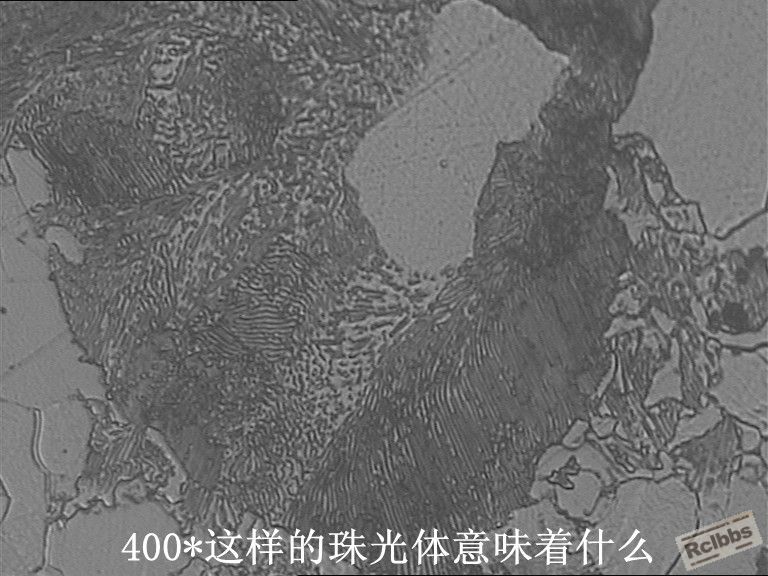 z_副本.jpg