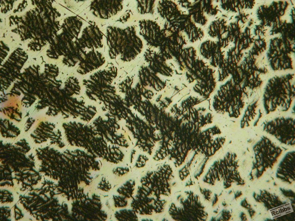 DSCN9143.JPG