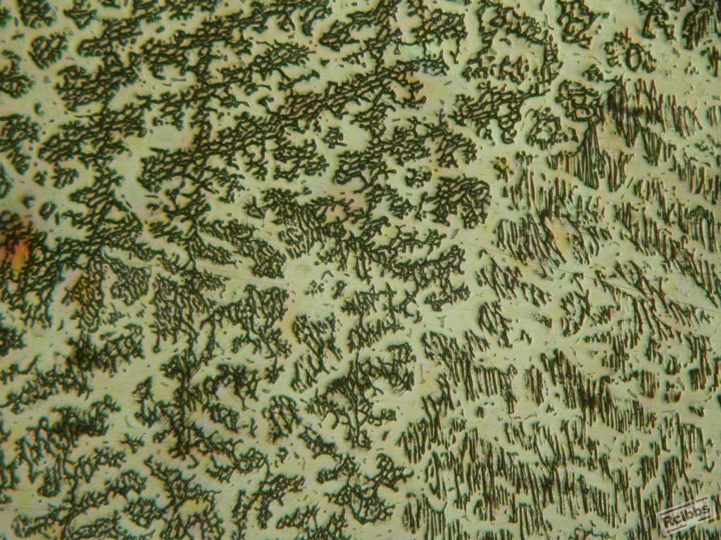 DSCN9165.JPG