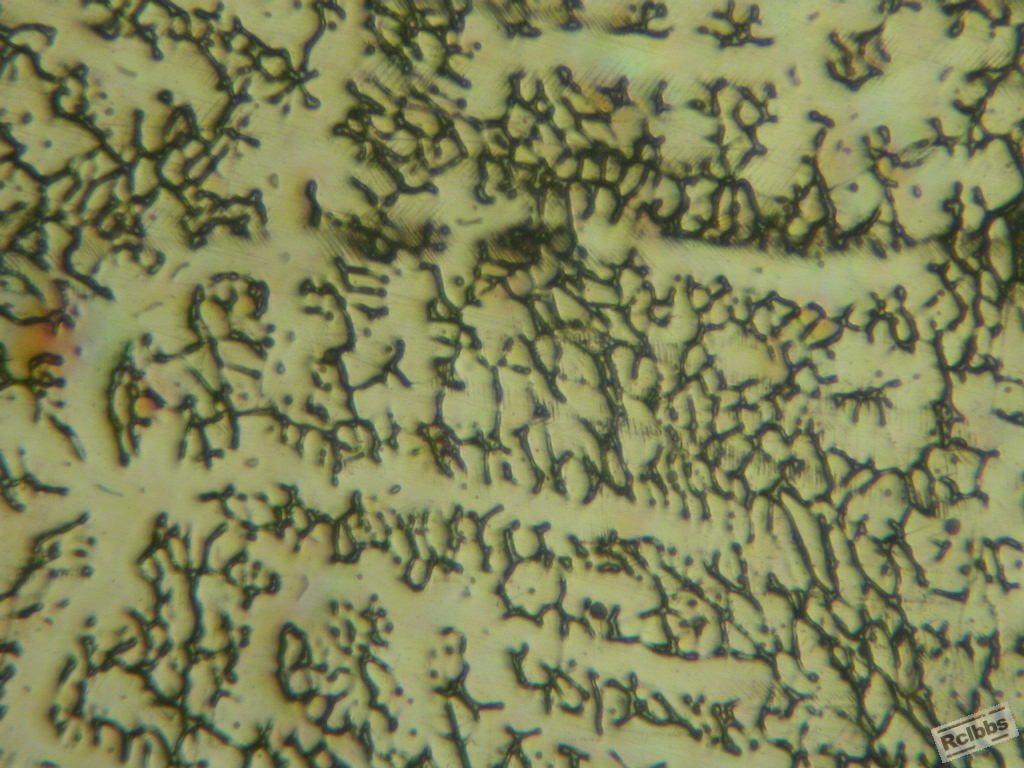 DSCN9175.JPG