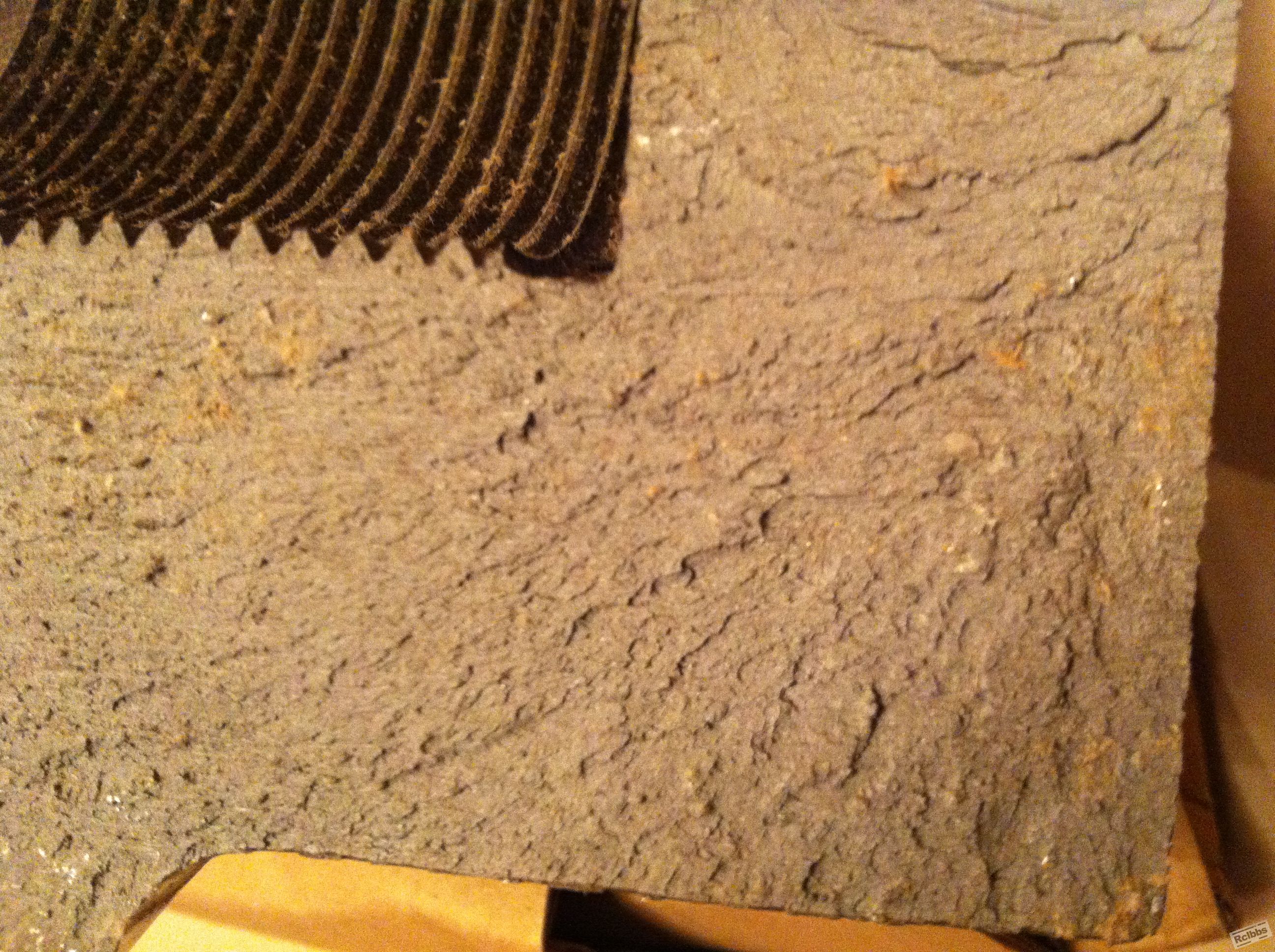 照片 152.jpg