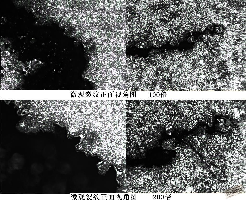 微观正面组合.JPG