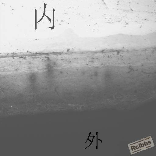 金相1.JPG