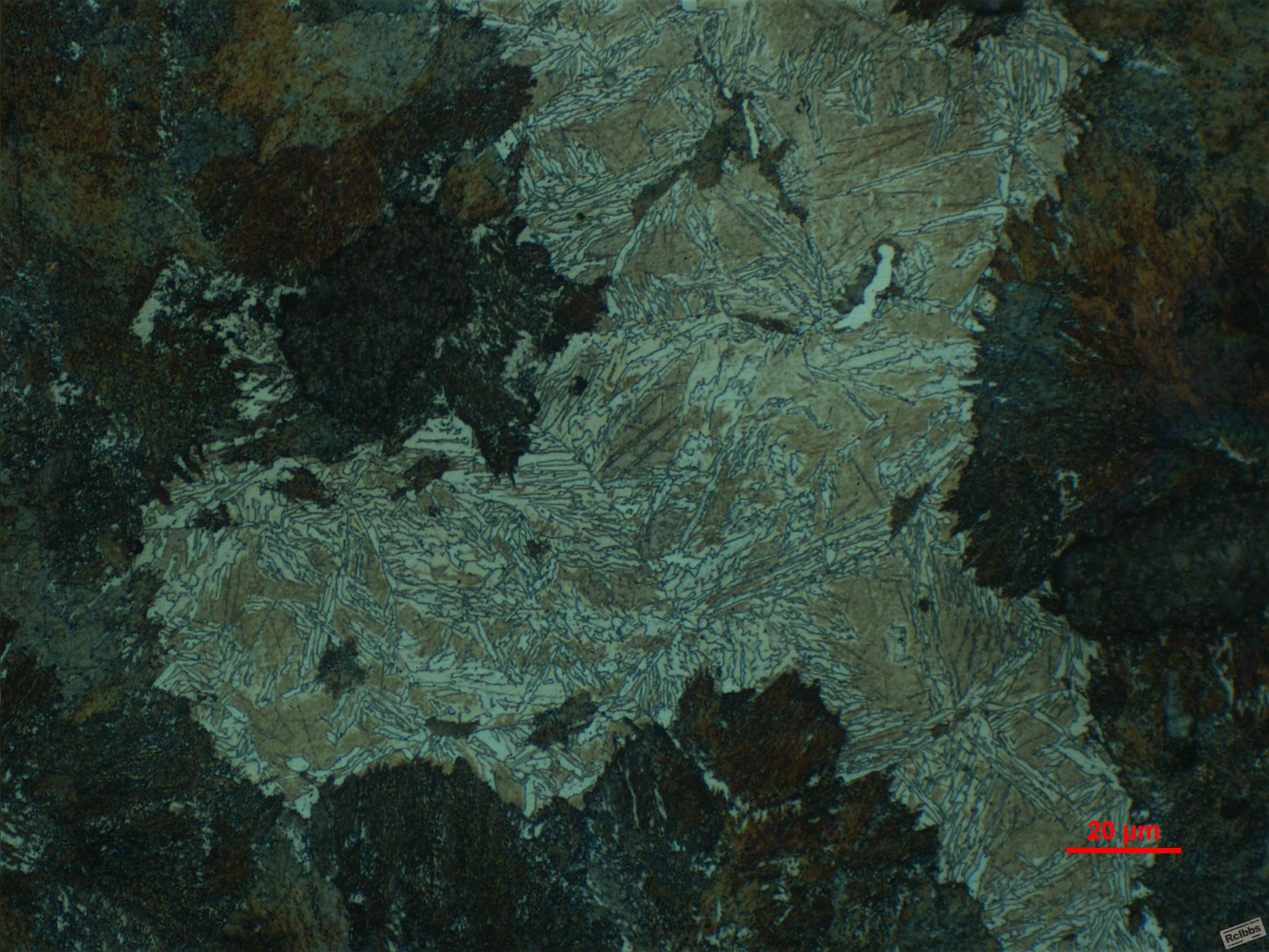 500X--5.JPG