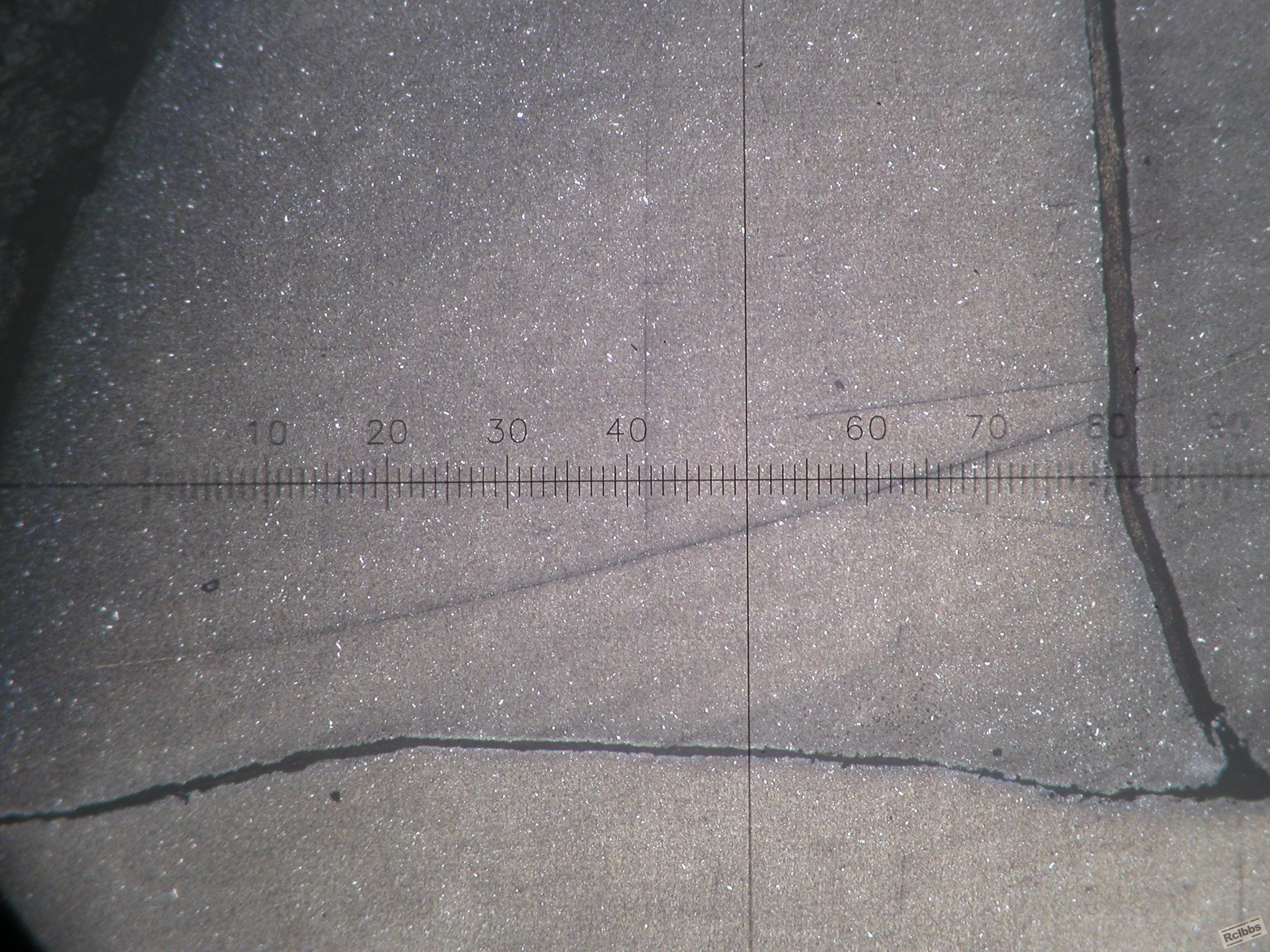 P1010017.JPG