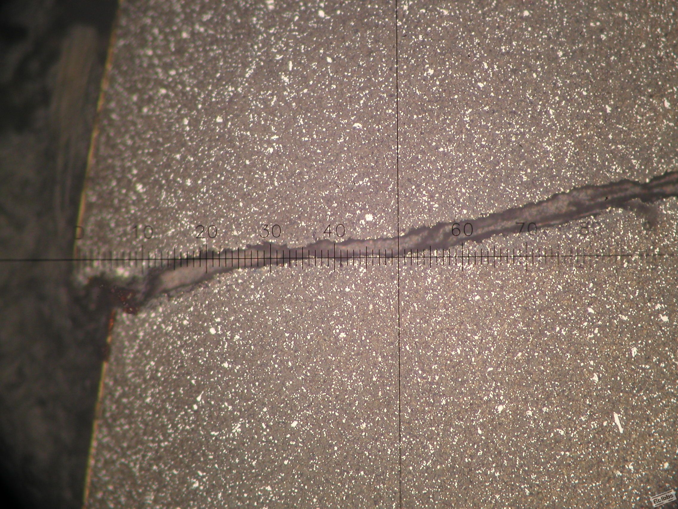 P1010020.JPG