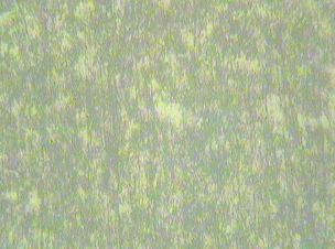 444.jpg