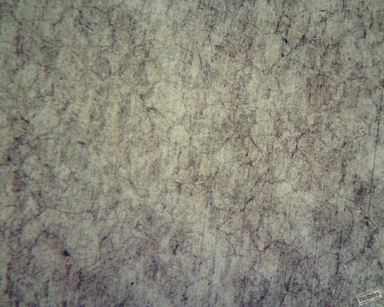 2367锻件100倍1 (1280x1024).jpg