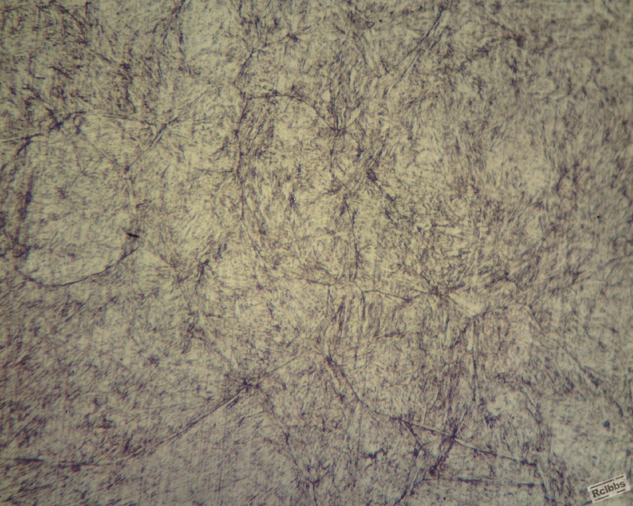2367锻件400倍3 (1280x1024).jpg