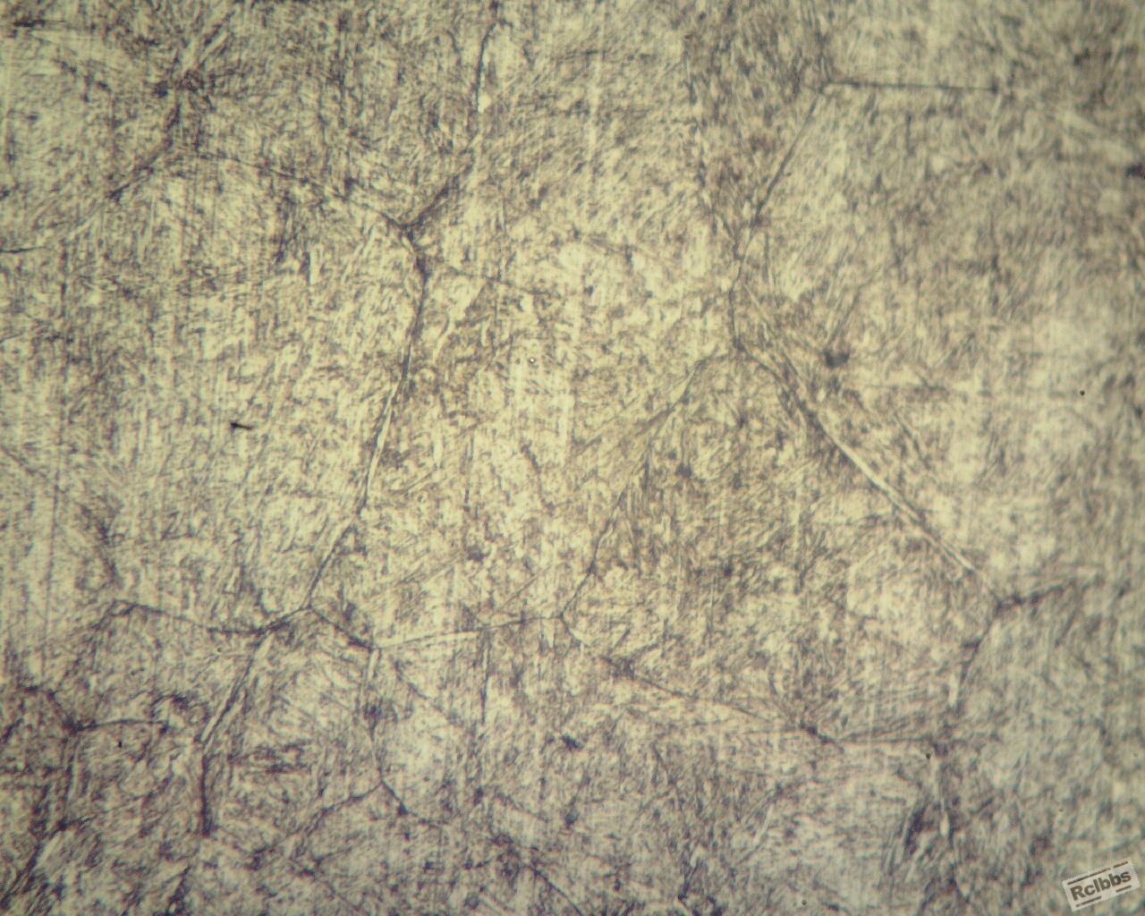 2367锻件400倍4 (1280x1024).jpg