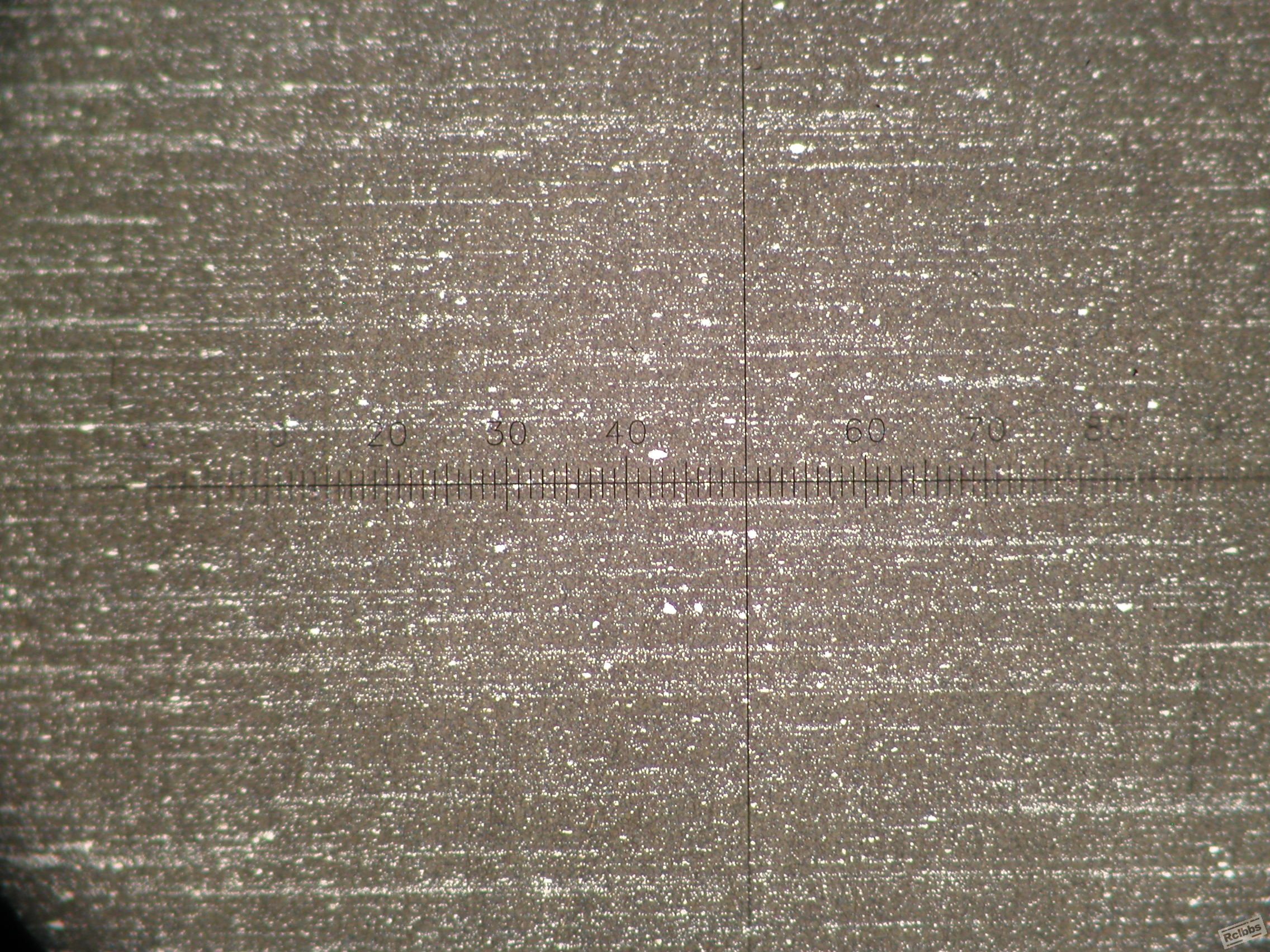 P1010028.JPG