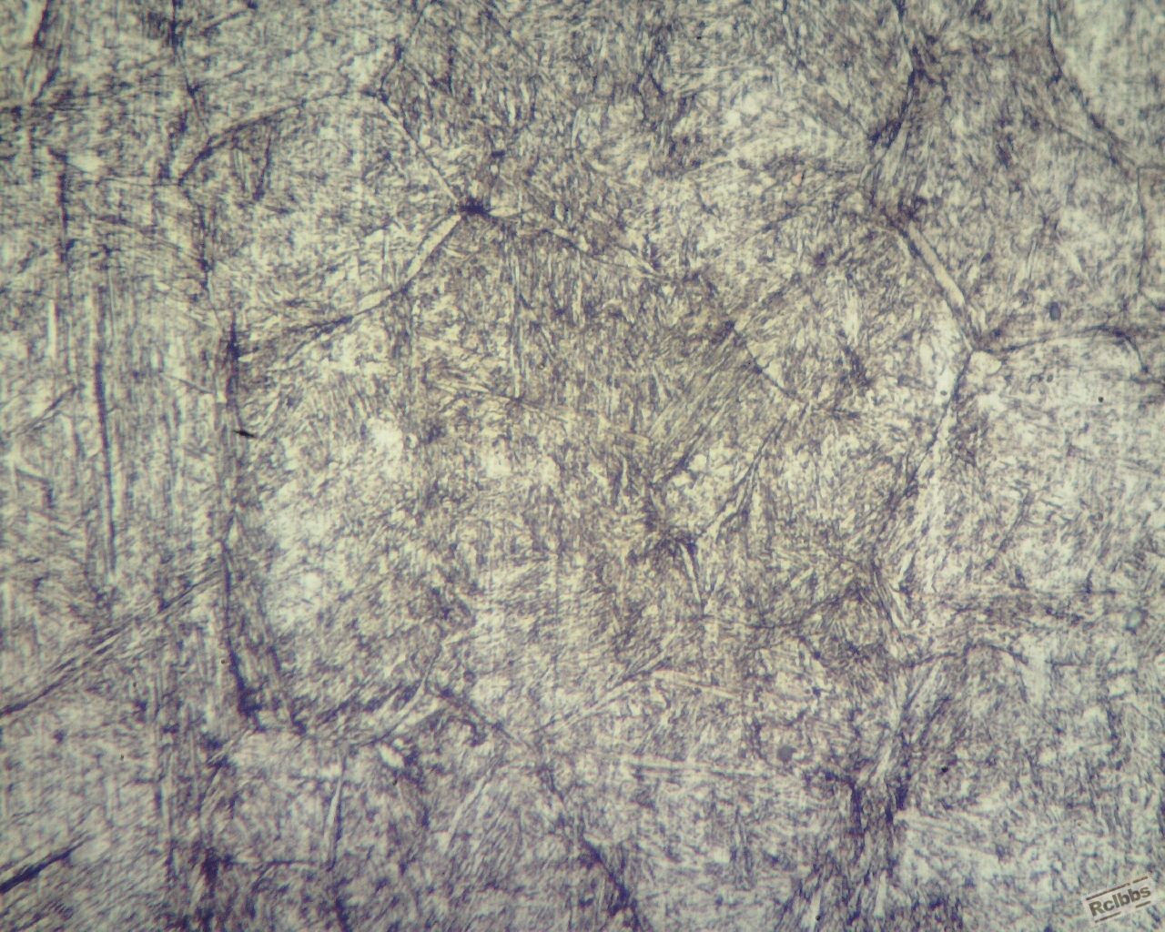 2367锻件400倍1 (1280x1024).jpg