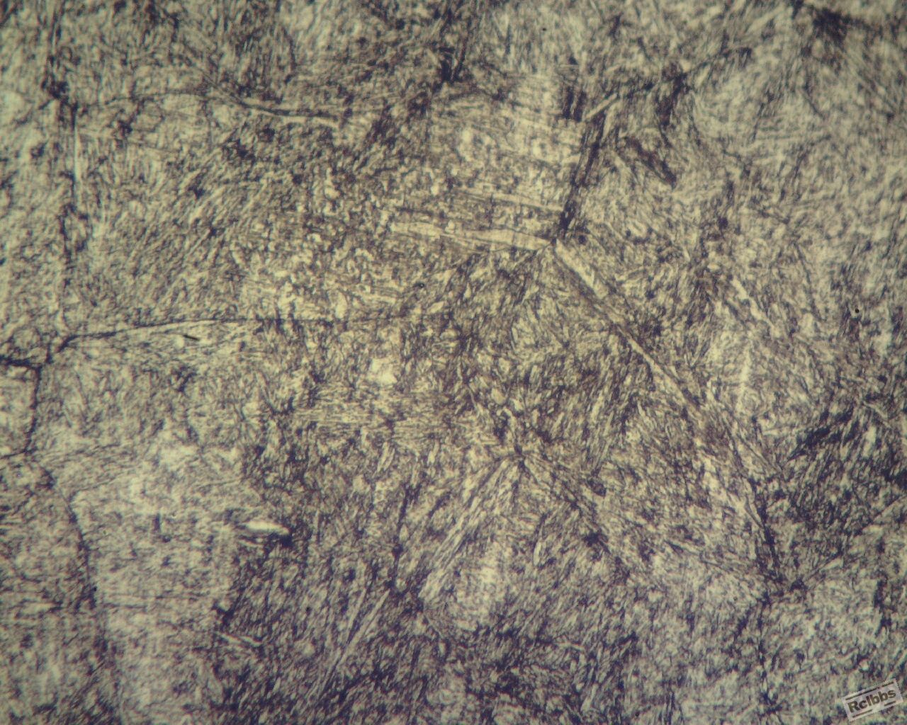 2367锻件400倍7 (1280x1024).jpg