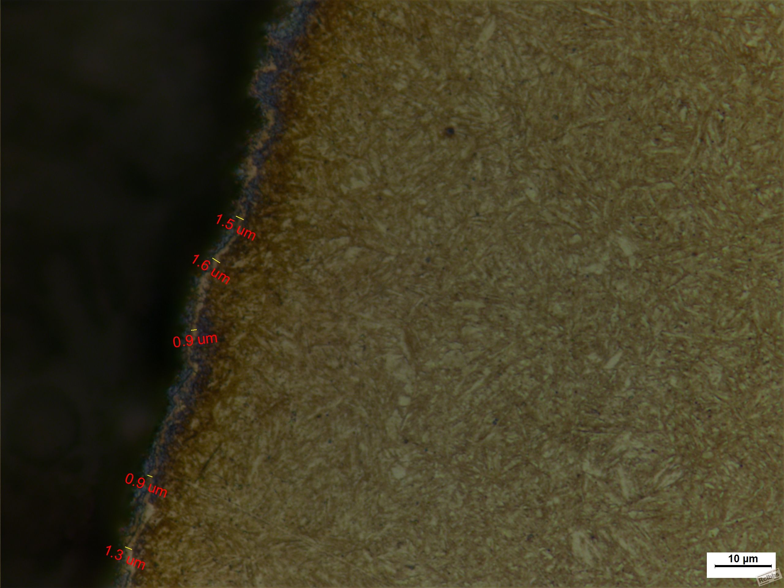 1000x-1.JPG
