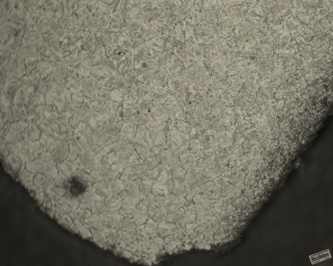 35k 860x60 0.38% oil=50尾部牙齿.jpg