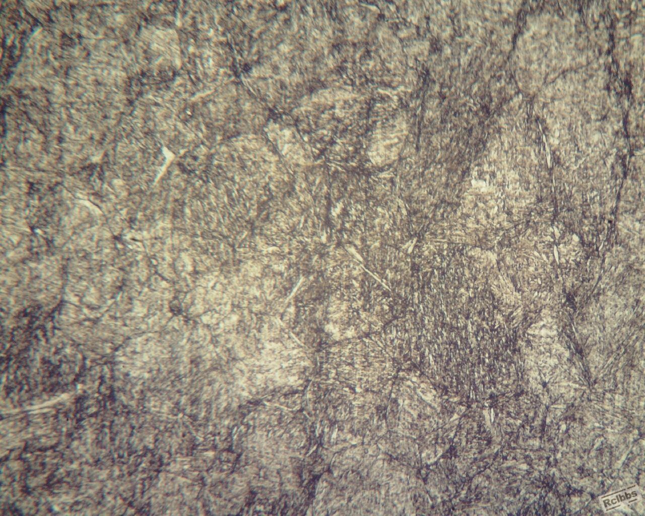 2367回火后200倍4 (1280x1024).jpg