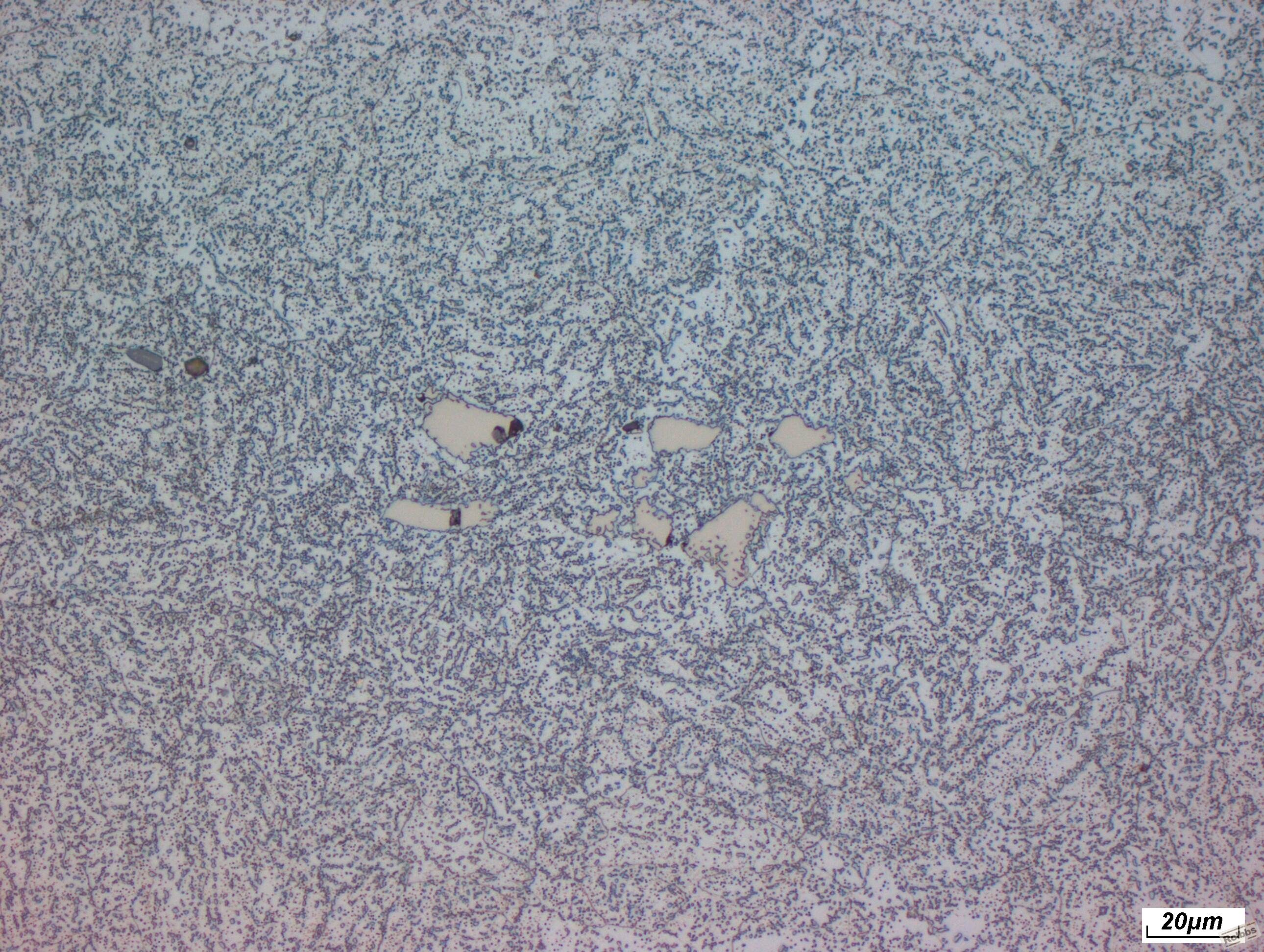 500.jpg
