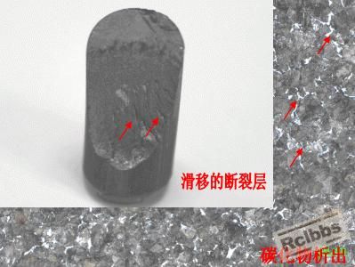 组织.JPG