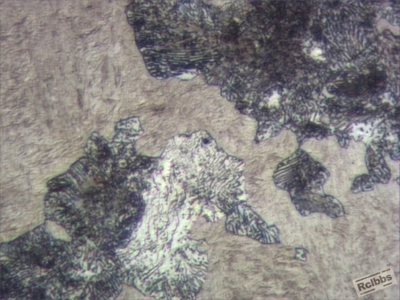 表面组织2，500X.JPG