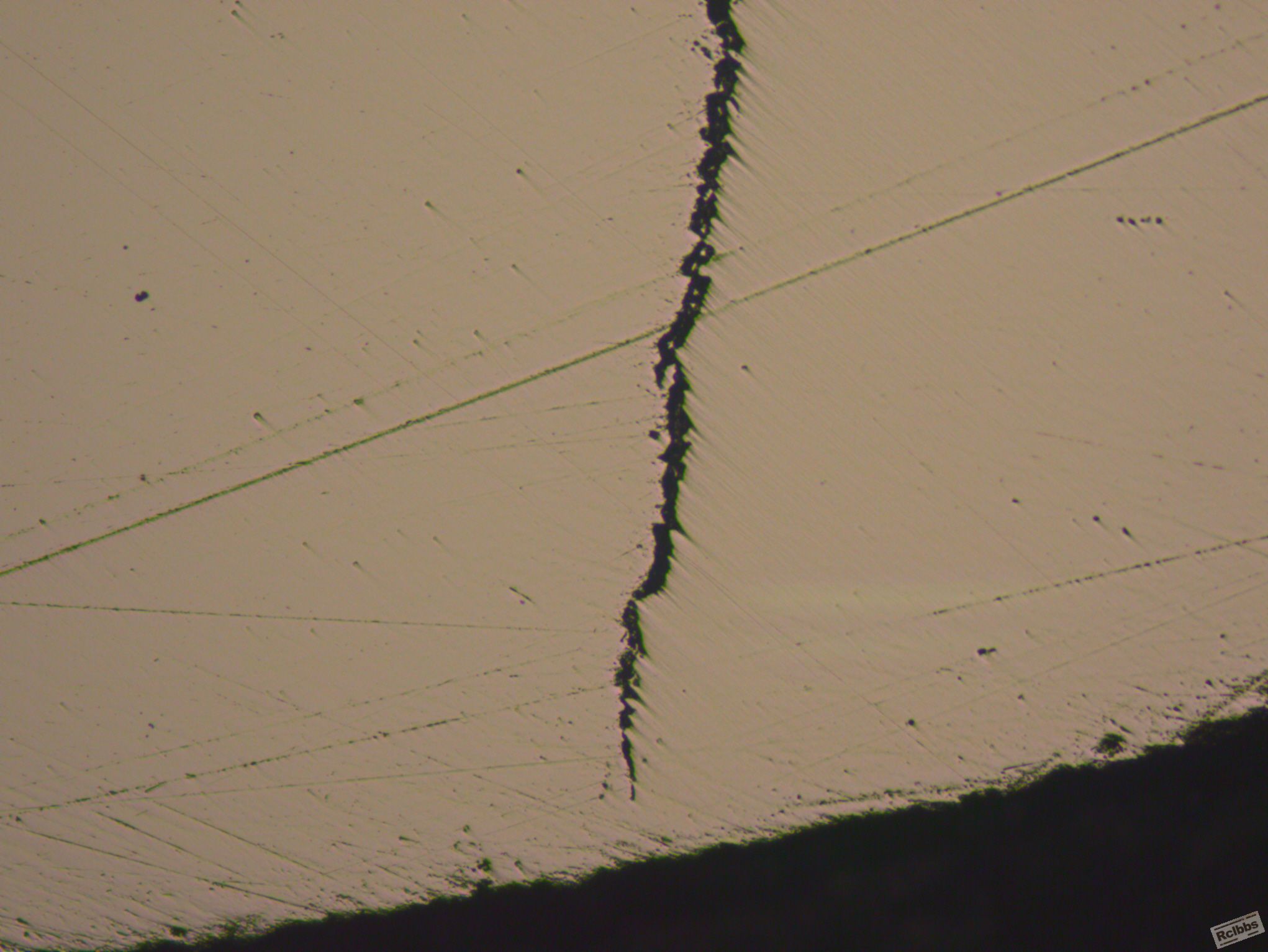 011601-H-100X.jpg