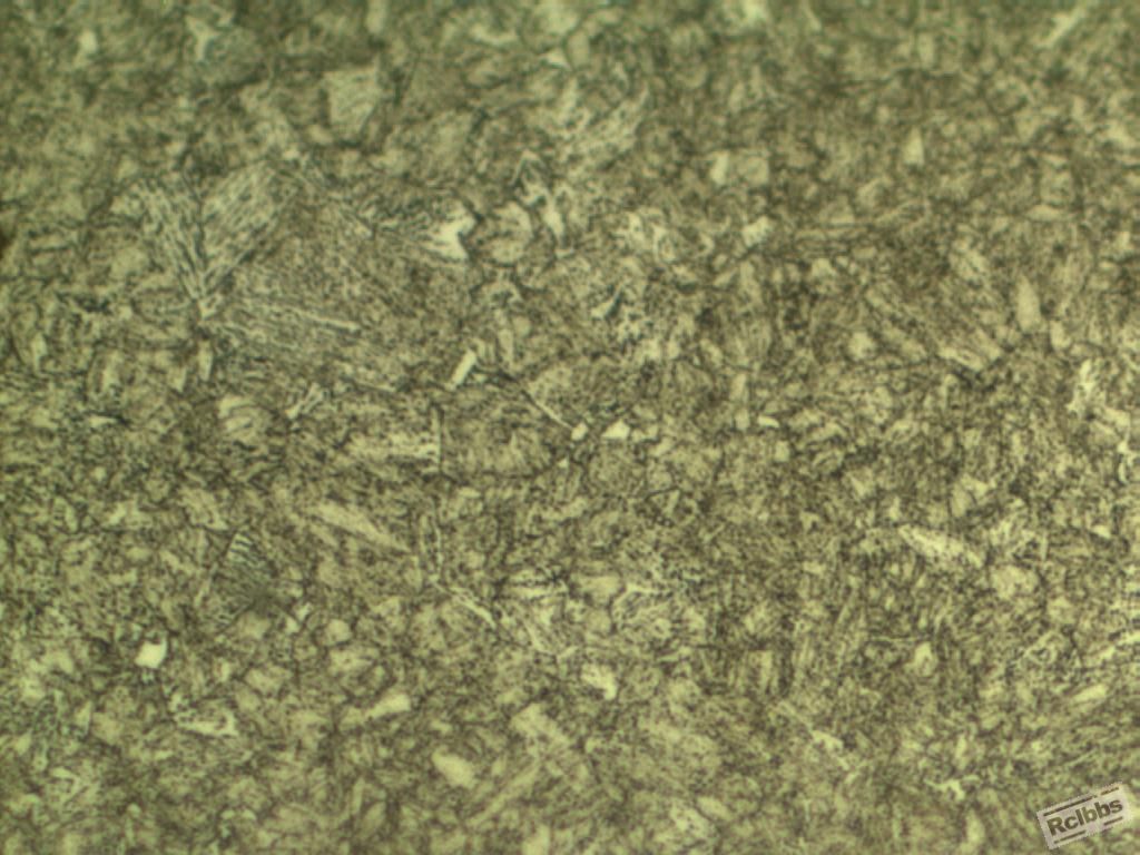 500x21.JPG