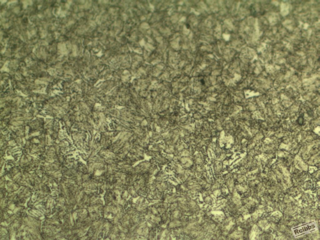 500x13.JPG
