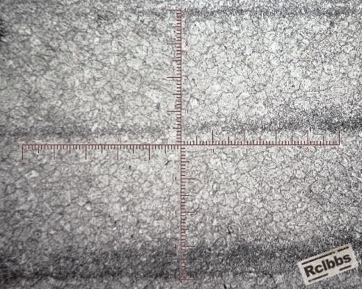 100bei_(520x416)100倍 - Copy.jpg