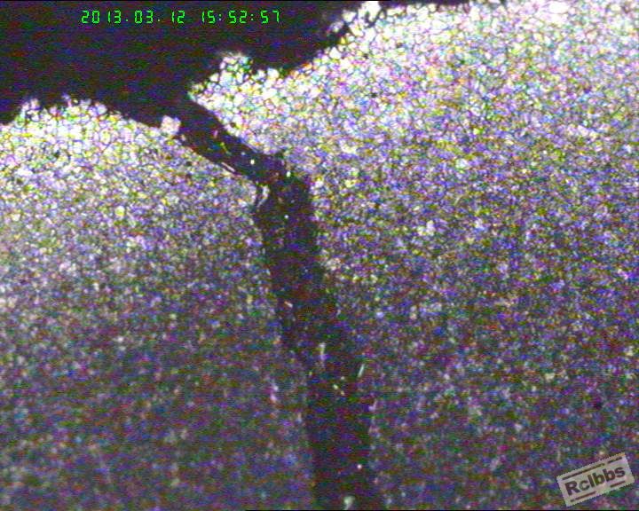 100-3晶粒.jpg