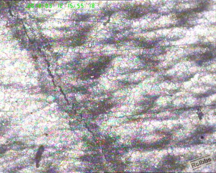 100-4晶粒.jpg